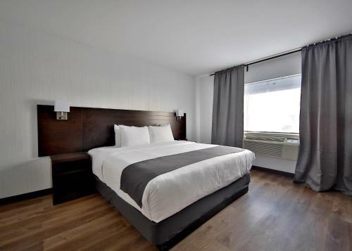 Motel Hotel Newstar