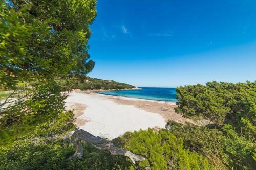 Incantevole Appartamento In Cala Granu