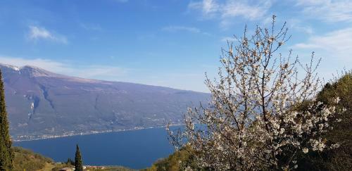 Italy Bungalow Gardalake Tignale. Sunclass