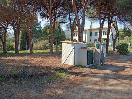 Riccio Di Mare