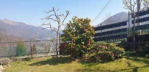 Apartamento Appartamento Bellavista