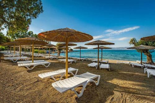 Hotel Amarynthos Resort