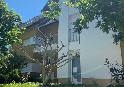 Martini 11 Apartman