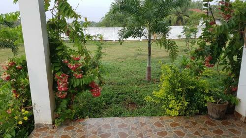 Aqua House Hotel Yala