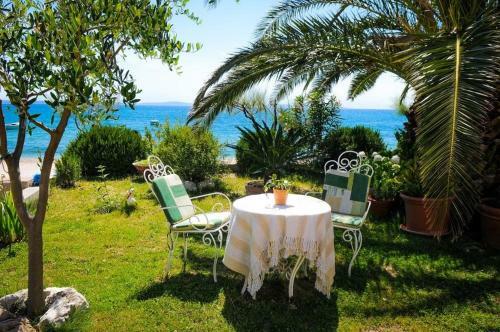 Apartman Anita