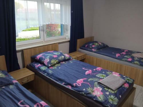 Hotel Szafir - Noclegigrodziskpl