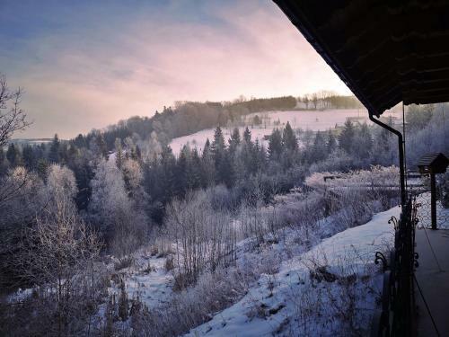 Bed & Breakfast Czarna Owca