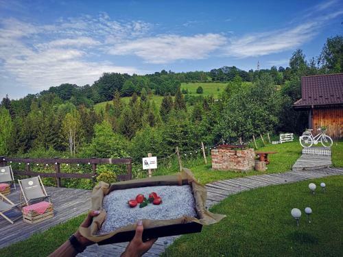 Bed & Breakfast Czarna Owca