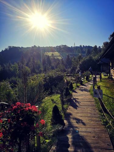 Bed & Breakfast Czarna Owca