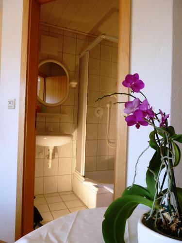 Hostal Landgasthof Unger