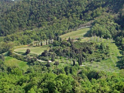 Villa Podere Il Ruscello