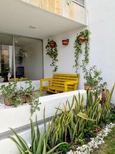 Bona Vida Hostel La Quinta II