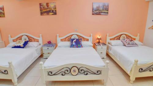 Bed & Breakfast Loyofun