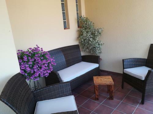 Domomea B&B