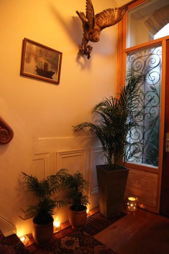 Antonius Bed And Breakfast