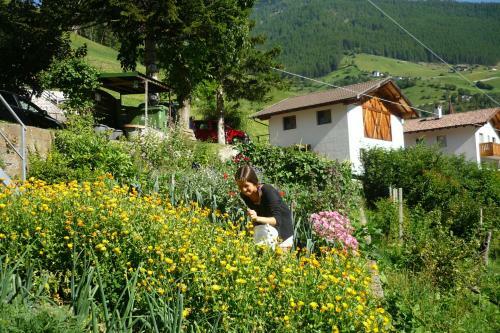 Apartamento Residence Alpenrose