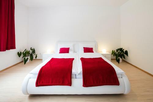 W & S Executive Apartments - Obertraun
