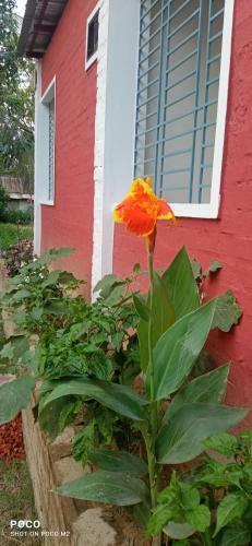 Ramu Homestay