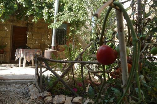 Apartamento A Dream Vacation In Jerusalem