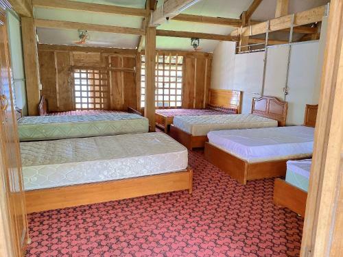 Nova Homestay And Coffee