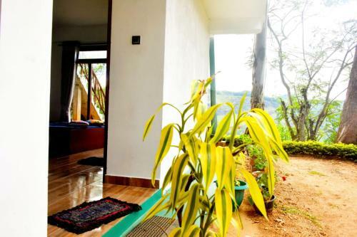 Kings Wind Homestay Ella