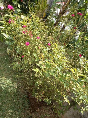 Apartamento Zen Soufriere