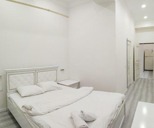Apartament Nizami Street Darya