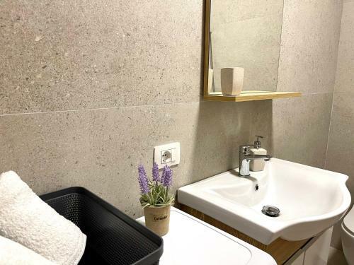 Sol Lux Studio Apartments 1st Floor