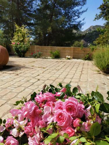 Villa House Of Roses