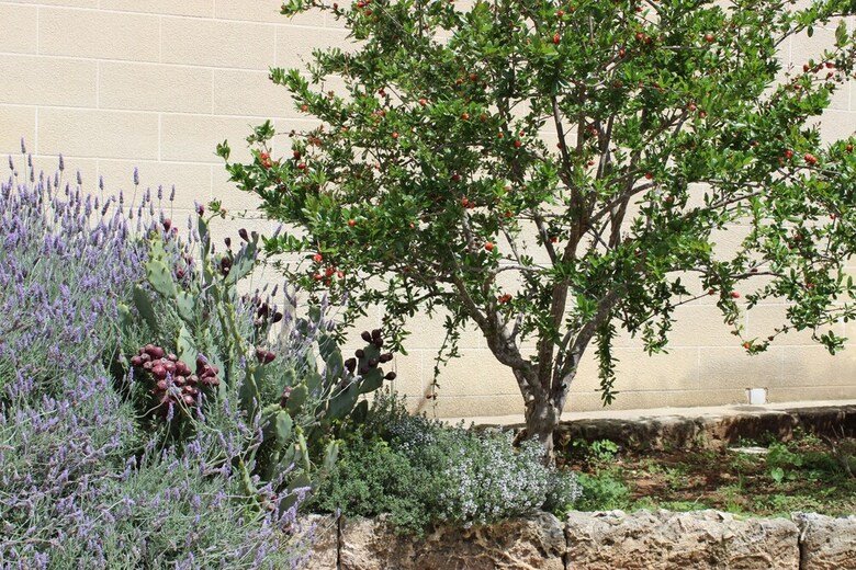 Agroturismo Masseria Pagani