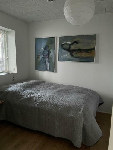 Lovley New Apartment