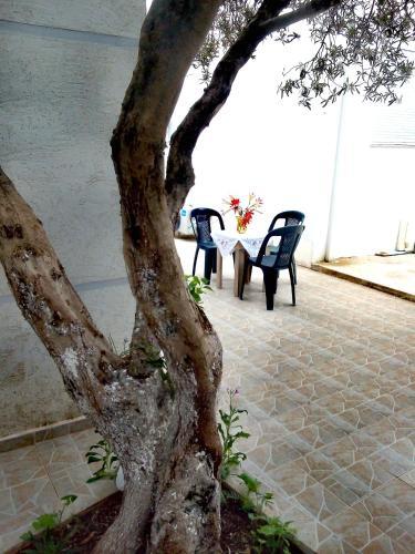 Hostal Tilis Guesthouse