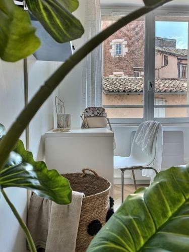 Apartamento Le Dandy - Hyper Centre - Albi
