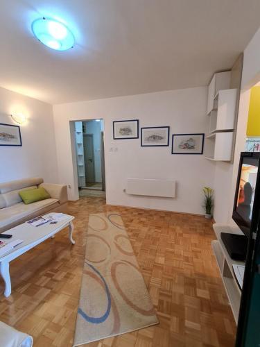 Apartman Petrovac ,,starry Sky,,
