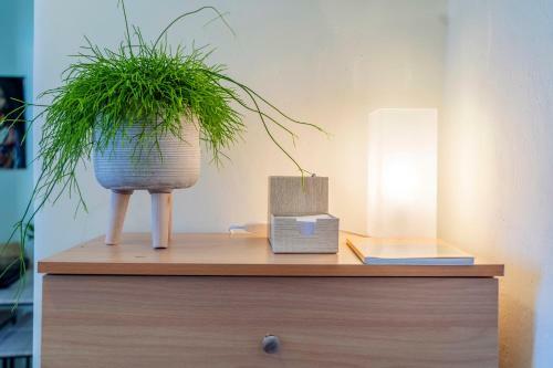 Apartamento Tarik Home Live Traditional