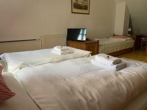 Bed & Breakfast S�rk�ny Bio Panzi�