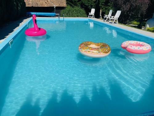 Bed & Breakfast S�rk�ny Bio Panzi�