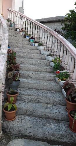 Hostal Chaplin