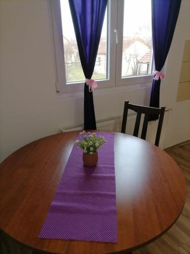 Apartman Kosovska 17