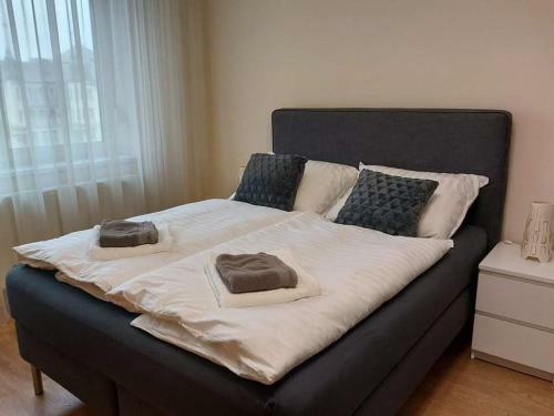 Alf�ldi Palace Apartman