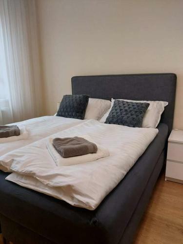 Alf�ldi Palace Apartman