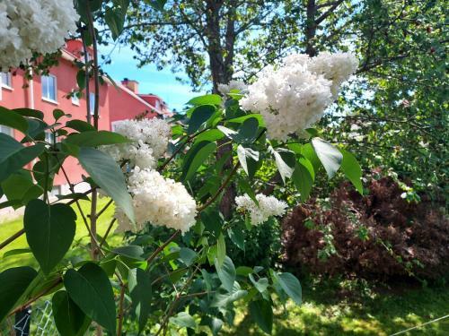 H�rlig Villa I Lugnt Omr�de