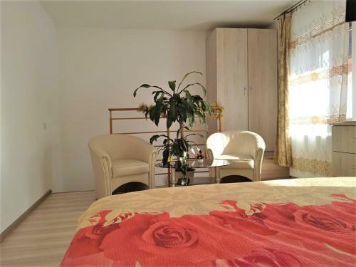 Apartamento Antoniu