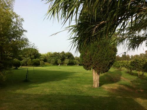 Agroturismo Agriturismo Il Giglio