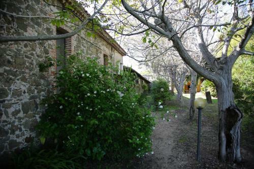 Agroturismo Agriturismo Il Giglio
