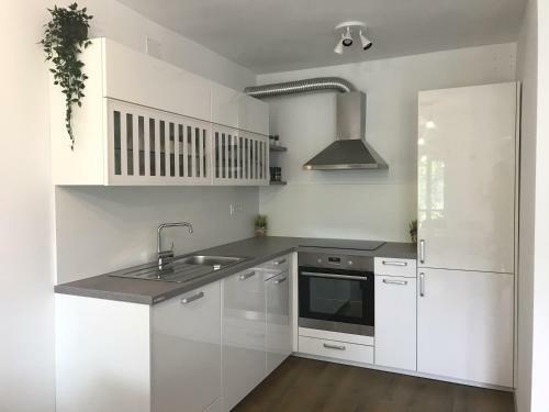 Apartment Loyd, Tolmin - Most Na So?i
