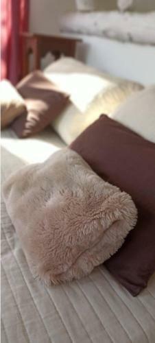 Loft Rural : La Cayetana