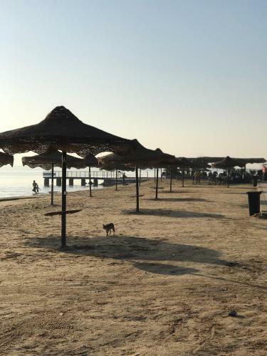 Apartamento Al Norus Village