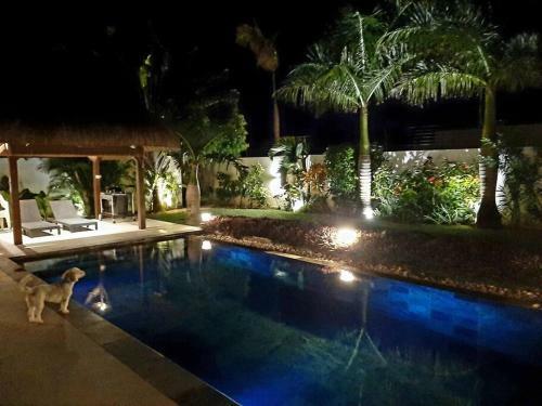 Pool Villa Surrounded By Tropical Greenery