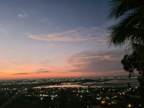 The View